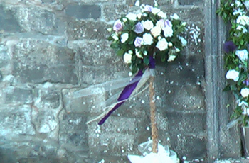 topiary tree decorated with coloured ribbons